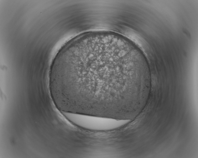 X0000090601480200708071132