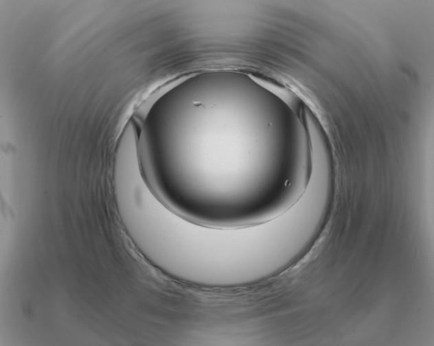 X0000090601481200708071132