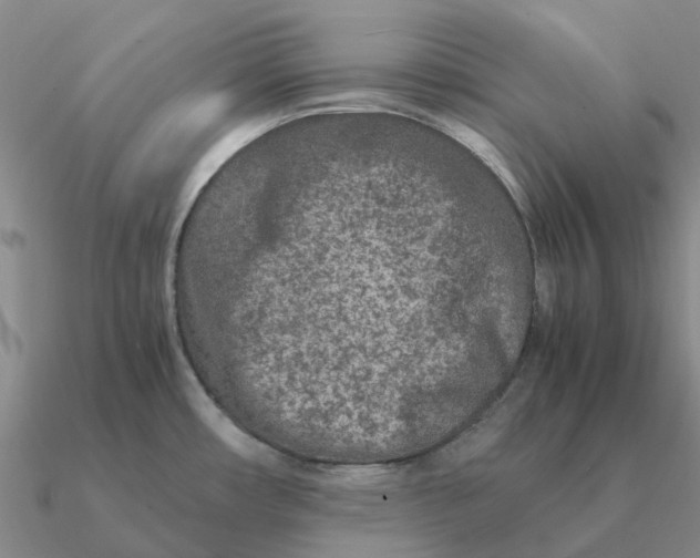 X0000090601482200708071132