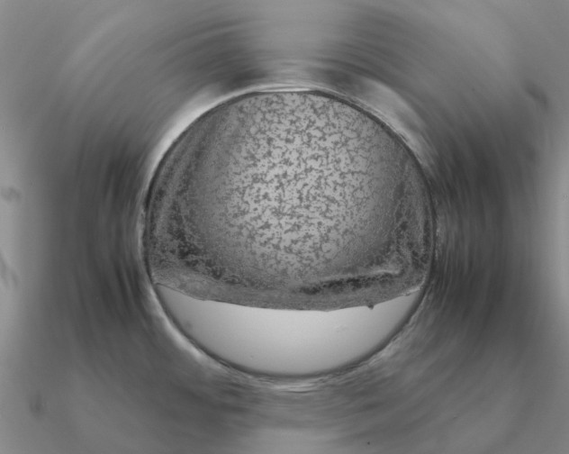 X0000090601484200708071132