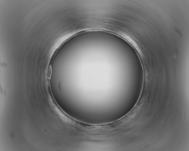 X0000090601485200708071132