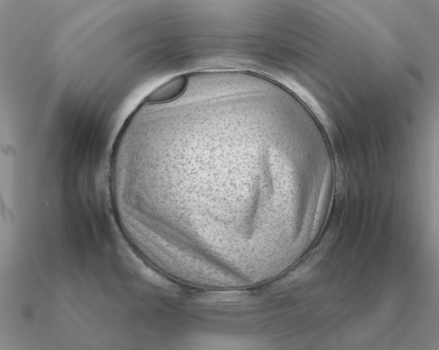 X0000090601486200708071132