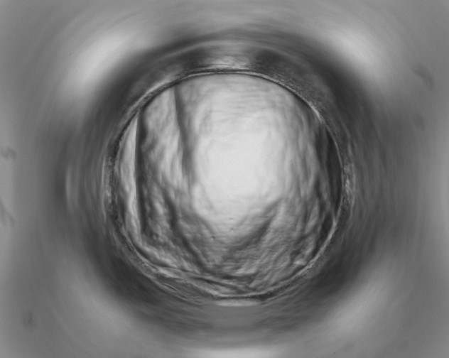 X0000090601487200708071132