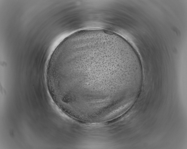 X0000090601488200708071132