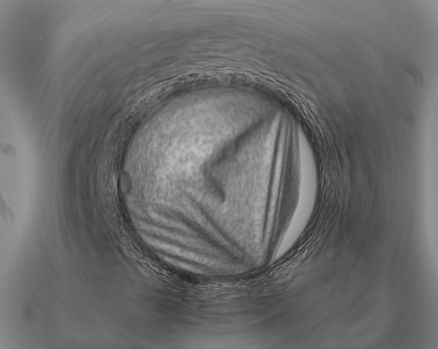 X0000090601489200708071131