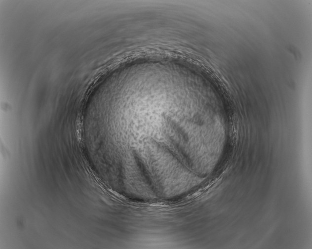 X0000090601490200708071131