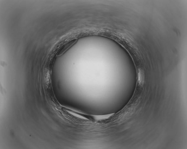 X0000090601492200708071131