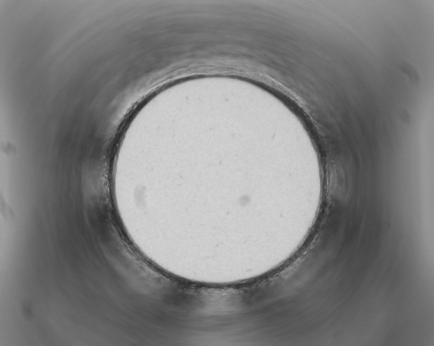 X0000090601498200708071131