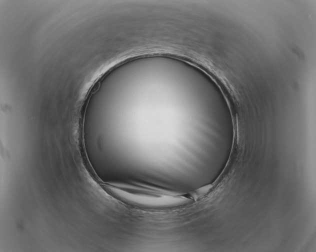 X0000090601500200708071132