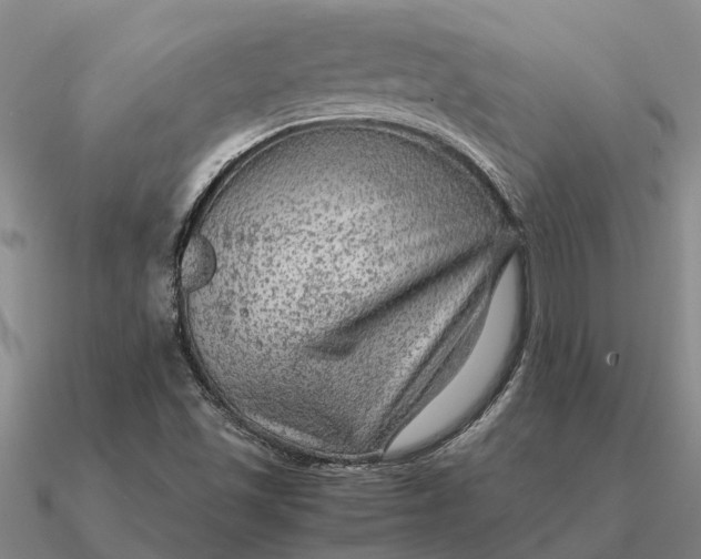 X0000090601501200708071132