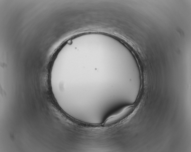 X0000090601502200708071132