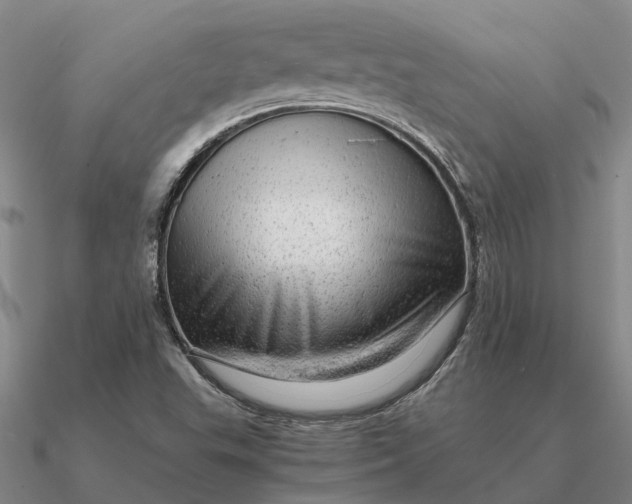 X0000090601503200708071132