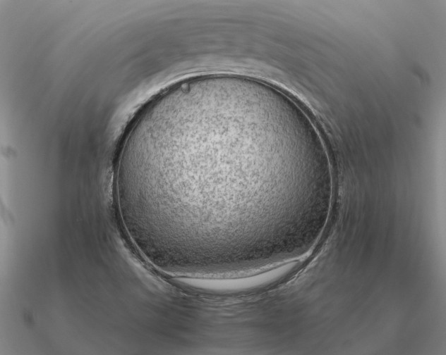 X0000090601507200708071132