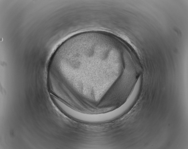 X0000090601508200708071132