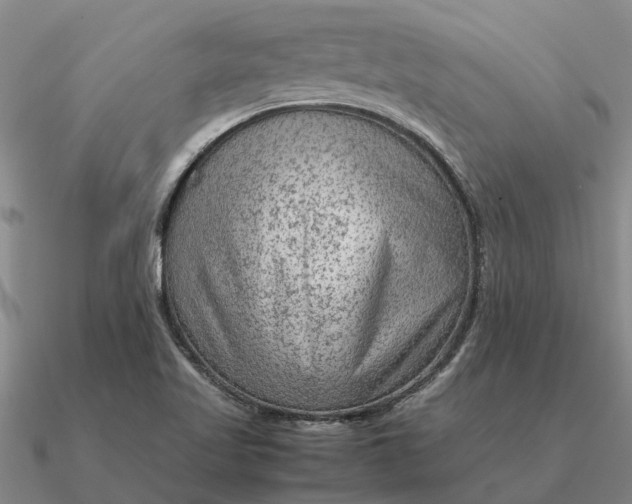 X0000090601509200708071132