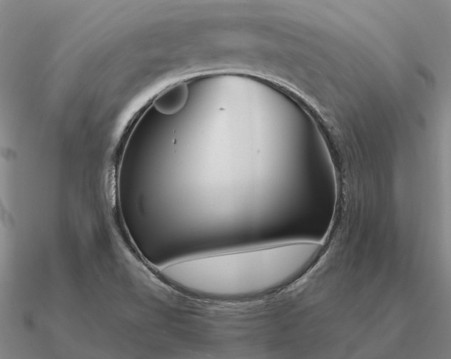 X0000090601510200708071132