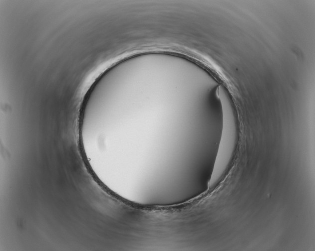 X0000090601512200708071132