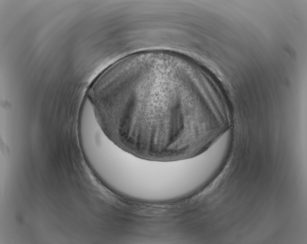 X0000090601513200708071132