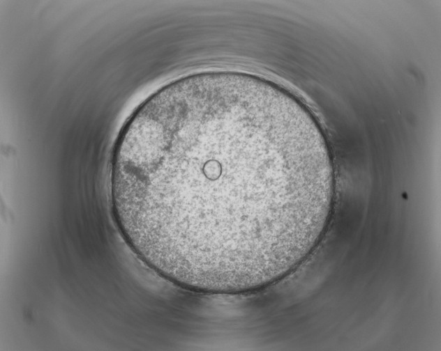 X0000090601514200708071132