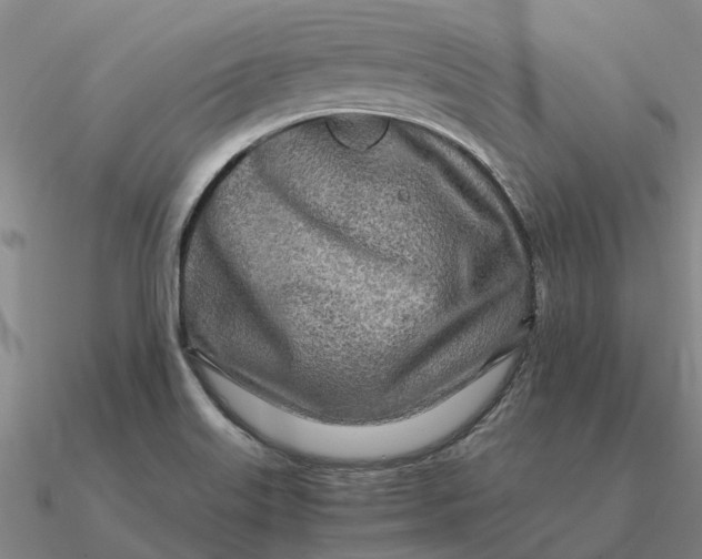 X0000090601515200708071132