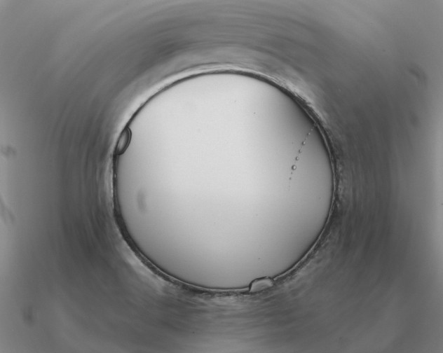 X0000090601516200708071132