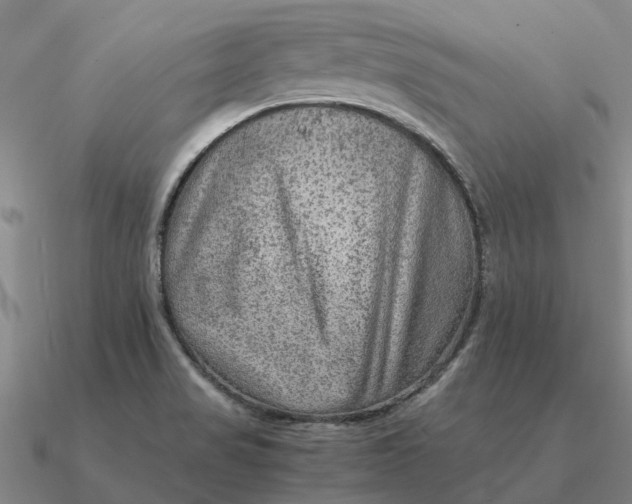 X0000090601517200708071132