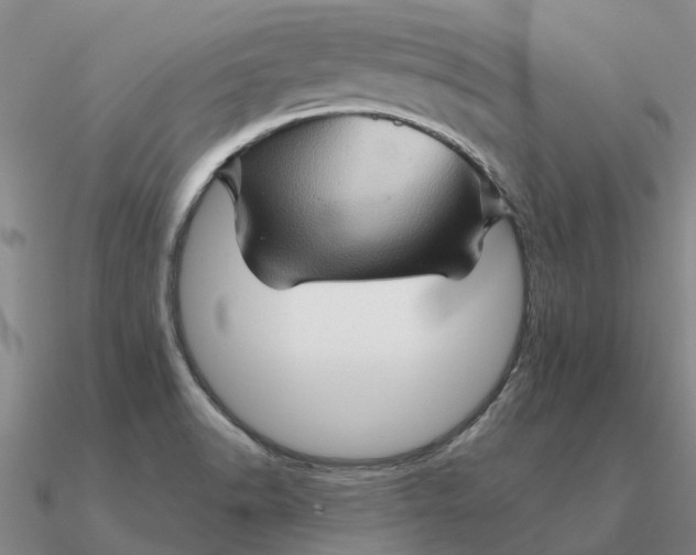 X0000090601518200708071132