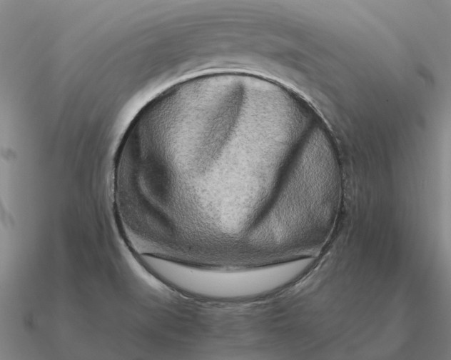 X0000090601519200708071132