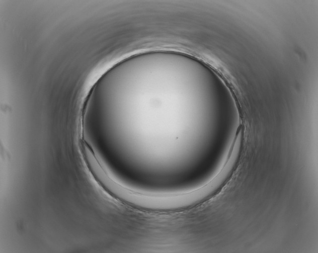 X0000090601520200708071132