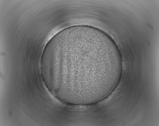 X0000090601521200708071132