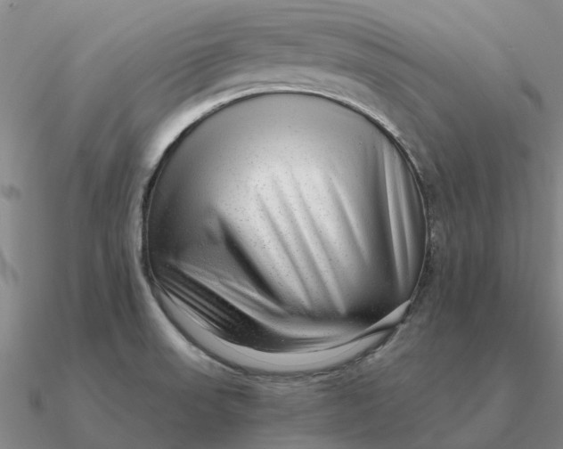 X0000090601523200708071132