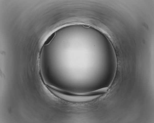 X0000090601524200708071132