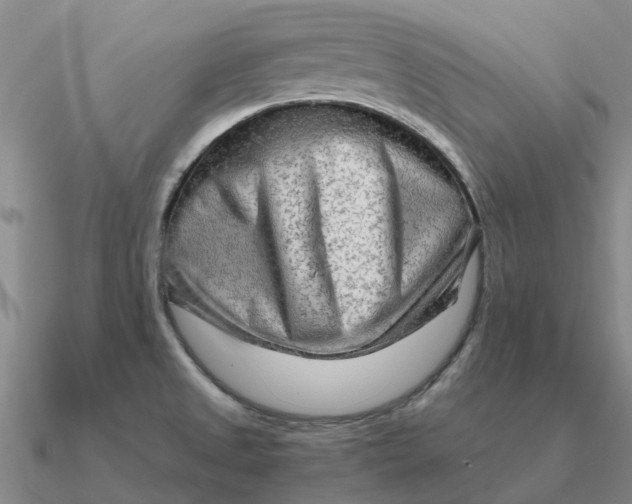 X0000090601525200708071132