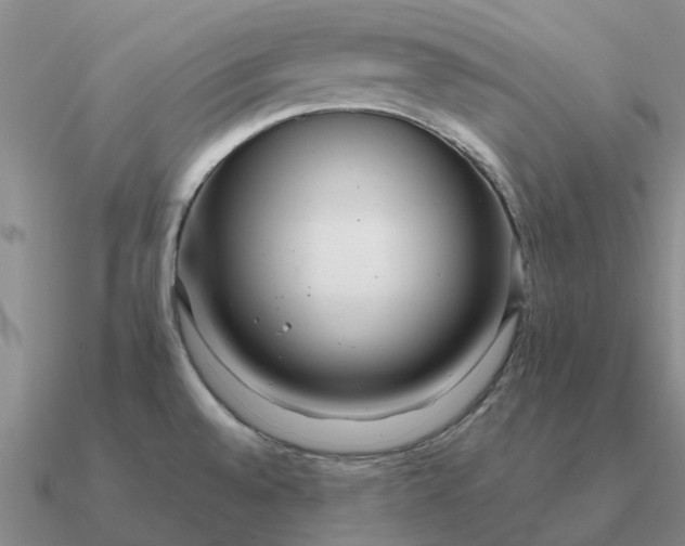 X0000090601528200708071132