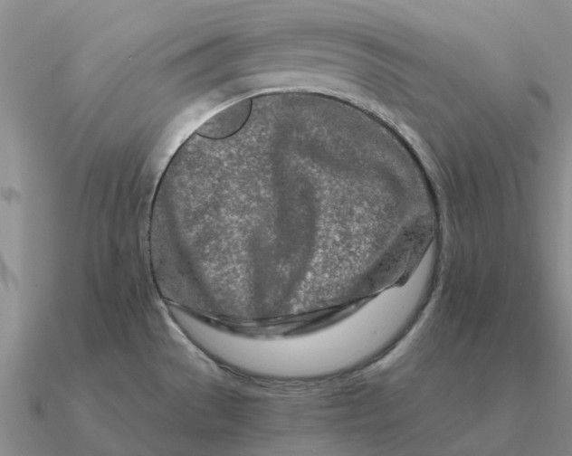 X0000090601529200708071132