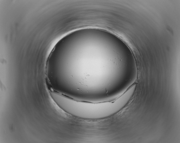 X0000090601532200708071132