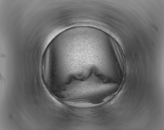 X0000090601533200708071132