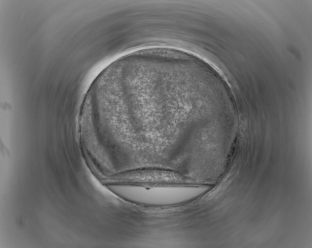 X0000090601535200708071132