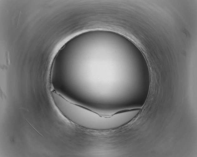 X0000090601536200708071132