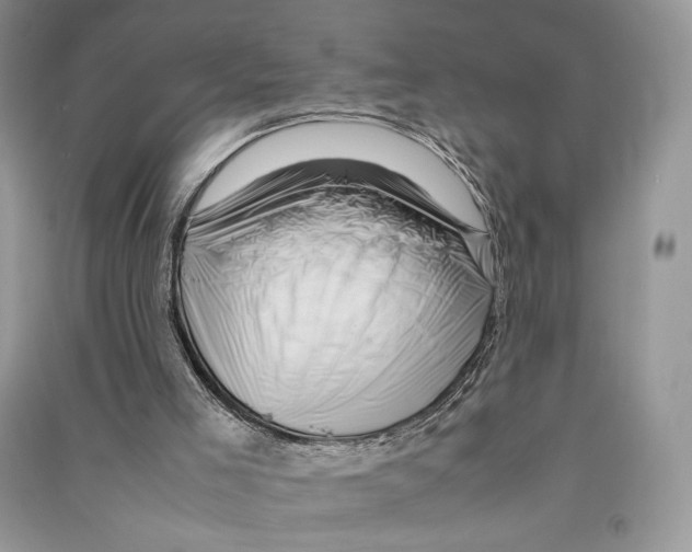 X0000090600005200708141340