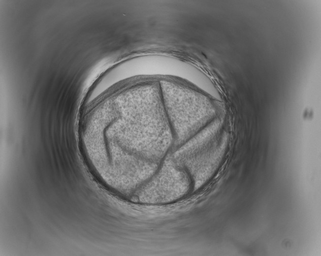 X0000090600006200708141340