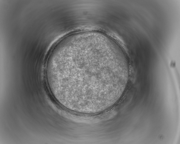 X0000090600012200708141340