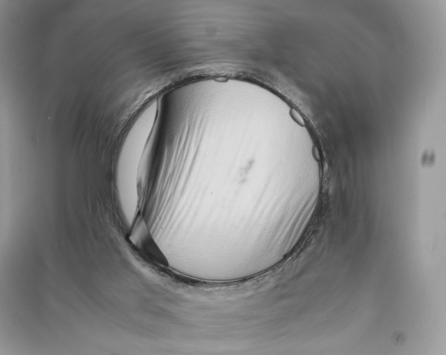 X0000090600013200708141340