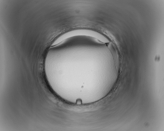 X0000090600017200708141340