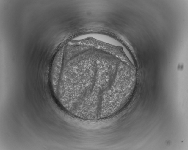 X0000090600018200708141340