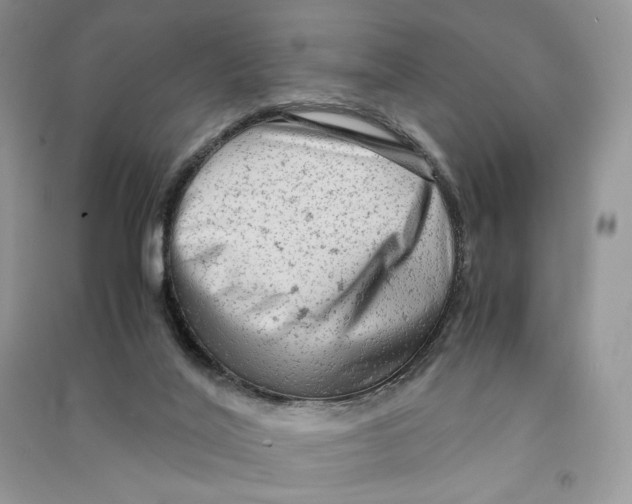 X0000090600020200708141340