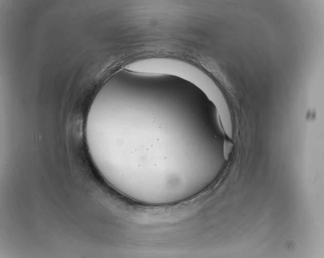 X0000090600021200708141340