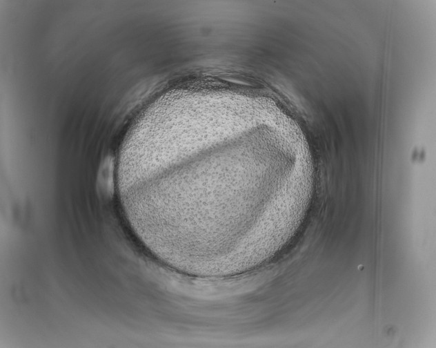 X0000090600022200708141340