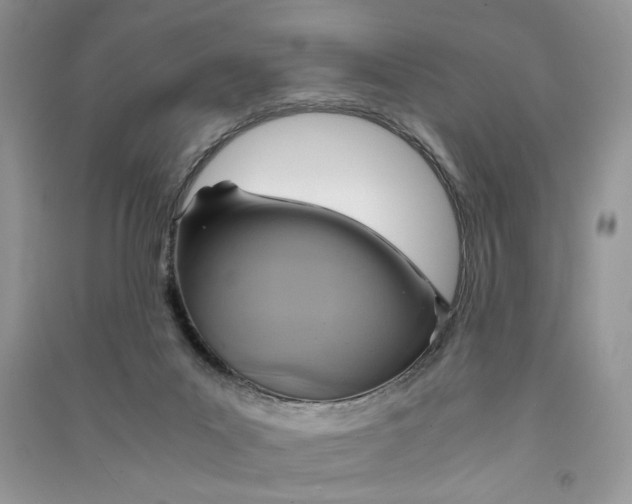 X0000090600023200708141340