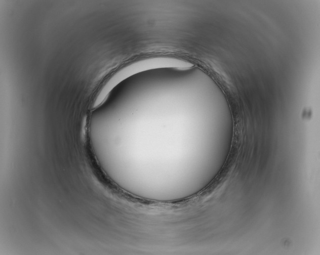 X0000090600024200708141340